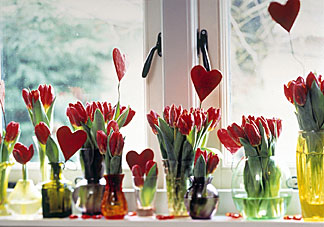 Tulips in big and small vases add a bit of Valentine whimsy in a cool window. Photo courtesy Netherlands Flower Bulbs Information Center