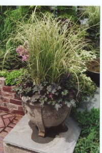 Perennials, such as ornamental grass and heuchera pair with summer annuals. © Jo Ellen Meyers Sharp.