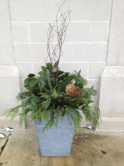 Winter container with salal, evergreen boughs and birch branches add seasonal beauty in a planting for a commercial setting. (C) Jo Ellen Meyers Sharp