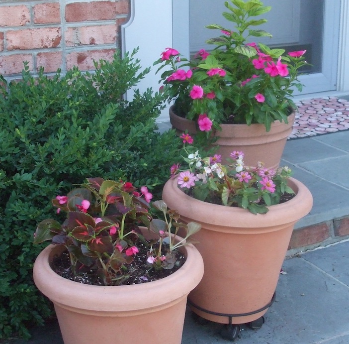 Pots planted with annuals in the same color range provide impact at the front stoop. (C) Jo Ellen Meyers Sharp