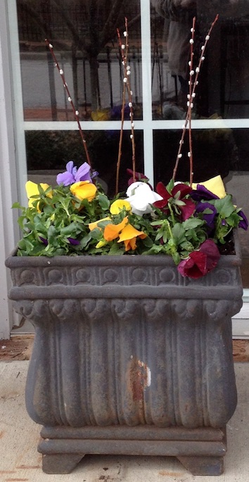 Pansies and pussy willows. (C) Jo Ellen Meyers Sharp