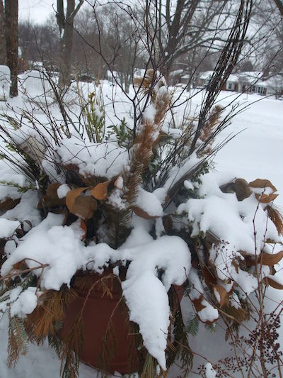 Winter arrangements can take the snow. They usually look good until pansy-planting season. (C) Jo Ellen Meyers Sharp