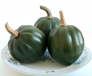 'Honey Bear' acorn squash. Photo courtesy All-America Selections