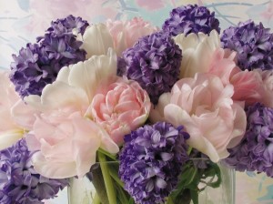 'Delft Blue' Dutch hyacinth and 'Angelique' tulip make a lovely, fragrant bouquet. Photo courtesy www.bulb.com