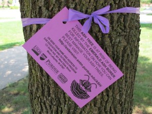 <p>Neighborhoods in Lafayette and West Lafayette, Ind., have begun tagging ash trees to demonstrate their number and concentration. Photo courtesy Jodie Ellis, Purdue University</p>