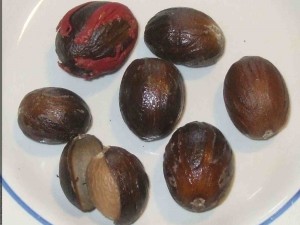 <p>In the upper left is a recently harvested nutmeg, still covered by its red mace, which is the spice mace. Crack the shell and you get the nut, which is grated or ground in cooking. (C) Jo Ellen Meyers Sharp/hoosiergardener.com</p>