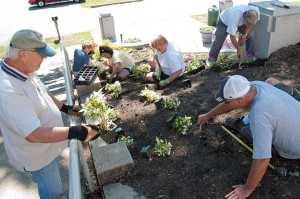 <p>Garfield Park Master Gardens accepted the challenge to plant the steep hill at the Arts Center. (C) Photo courtesy Jay Hagenow</p>