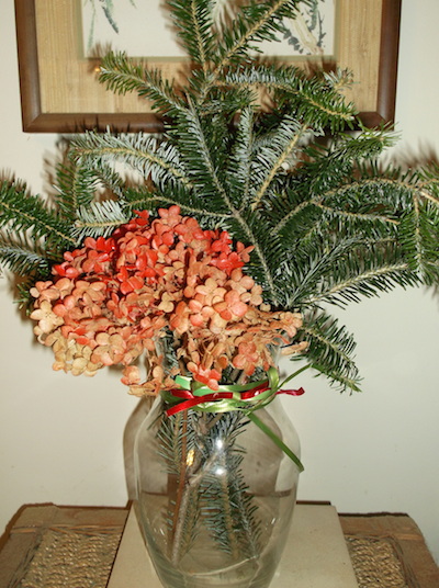 Spray paint a dried hydrangea blossom and pair with a few evergreen boughs for a hostess gift. (C) Jo Ellen Meyers Sharp