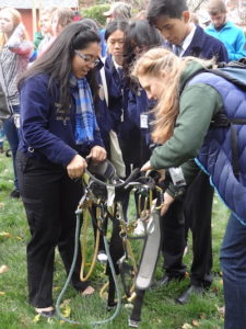 FFA students examine the safety harness worn by arborists. Photo courtesy Vineandbranch.net/Mary Breidenbach