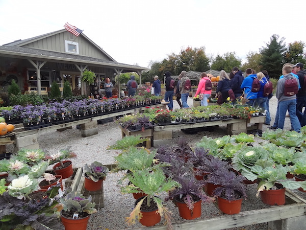 FFA students visited Salsbery Garden Center and Nursery to learn about landscaping, plants and design. Photo courtesy Vineandbranch.net/Mary Breidenbach