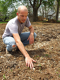 Breaking ground — Matthew Jose examinestiny seedlings of peas growing on an urban farm at 516 N. Tacoma Ave.,a vacant lot on Indianapolis east side. © Photo Jo Ellen Meyers Sharp 
