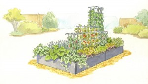 Plant It & Forget It Garden. Illustration courtesy Gardener's Supply