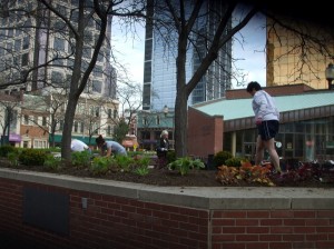 Volunteers, including Marion County Master Gardeners, planted in the raised bed along Market Street at the City Market. (C) Jo Ellen Meyers Sharp