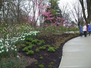 Horticulture Manager Chad Franer led a tour April 19 at the Indianapolis Museum of Art. (C)  Jo Ellen Meyers Sharp