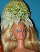 Barbie celebrates Echinacea Nation. Photo swiped from Irvin Etienne's blog.