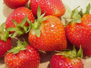 strawberries purdue