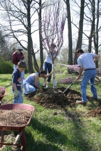 Keep Indianapolis Beautiful volunteers burn 286 calories an hour when planting a tree. Photo courtesy Keep Indianapolis Beautiful Inc.