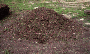 Compost pile can be contained in a bin or remain as a heap. Photo courtesy Texas A&M University