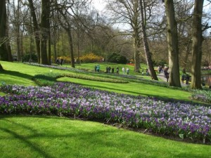 Keukenhof is the premier garden for spring blooming bulbs. (C) Jo Ellen Meyers Sharp