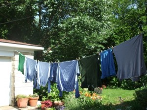 The Hoosier Gardener's clothesline. (C) Jo Ellen Meyers sharp