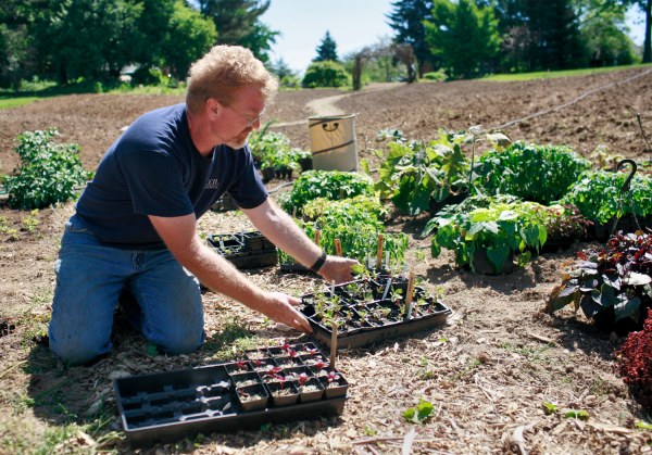 <p>Greg Speichert plants tomatoes and other vegetable seedlings at Hilltop Garden and Nature Center. Photo courtesy Indiana University.</p>