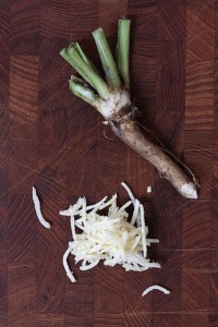 <p>Horseradish, a long-lived perennial, is the 2011 Herb of the Year. (C) Lasse Kristensen/Fotolia</p>