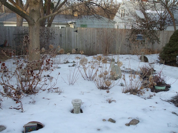 Icy covered backyard. (C) Jo Ellen Meyers Sharp