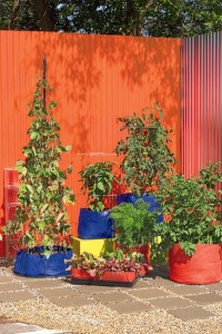 Gardener's Supply's grow bags come in all shapes and sizes. 