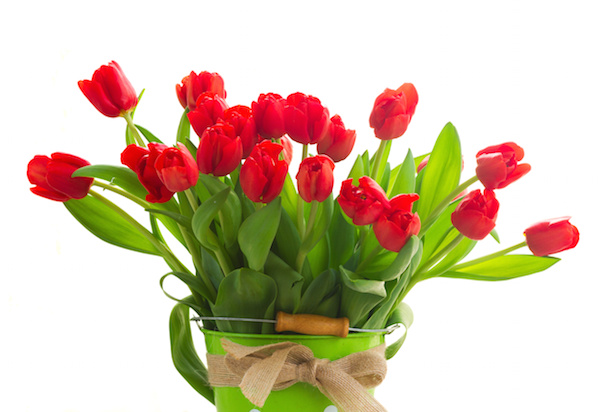 Favor your loved one with red tulips on Valentine’s Day, Feb. 14. © Neirfy/dollarphotoclub.com 
