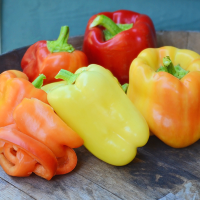 Sweet peppers for the Indiana garden