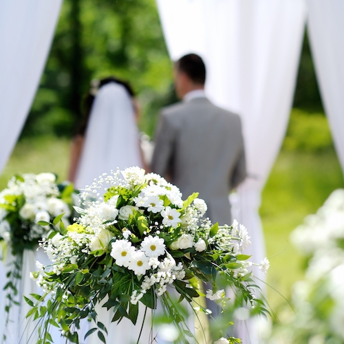 How to prepare garden for special event, wedding, party, celebration