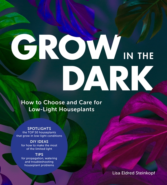 Lisa Eldred Steinkopf's Grow in the Dark specialized in houseplants that require less light.