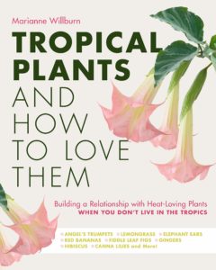 Fall in love with tropical plants.